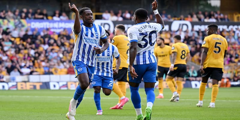 Brighton đang thăng hoa ở nửa cuối mùa giải Brighton đang thăng hoa ở nửa cuối mùa giải